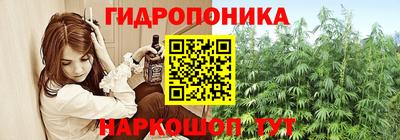 гашик Краснодар